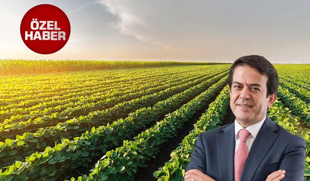 Antalya’da tarıma ihracat duvarı: Üretici kura yenildi