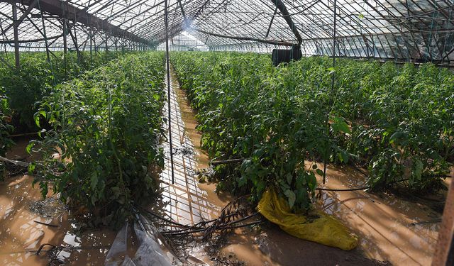 Başkan Kaçın’dan afetlerle ilgili açıklama: Önlem alınamazsa tarım alanları yok olacak