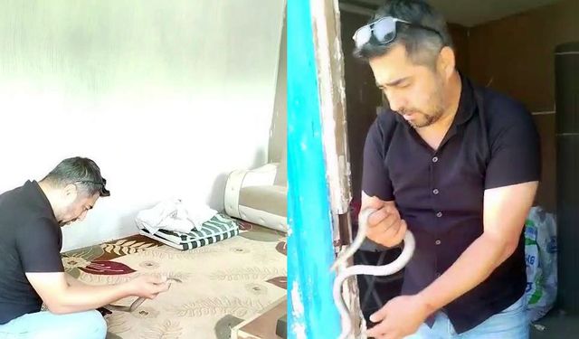 Herkes geri çekildi; yılancı kemal devreye girdi