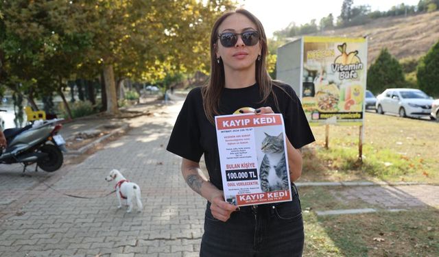 Kayıp kedisini bulana 100 bin lira ödül verecek