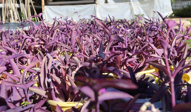 Kepez’den kuraklığa karşı anlamlı çalışma