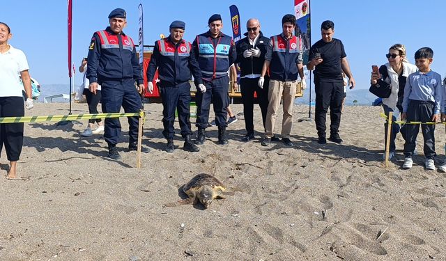 14 gün boyunca tedavi edilen caretta caretta denize bırakıldı