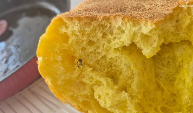 Antalya’da zincir marketten ekmek skandalı: Ekmeğin içinden çıkan şoke etti