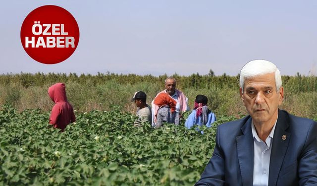 Antalya tarımında dengeler değişiyor: “Ortak değil, toprak sahibi olma peşindeler”