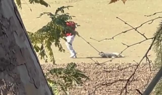 Bayılttığı köpeği metrelerce sürükledi; o görüntüler tepki çekti