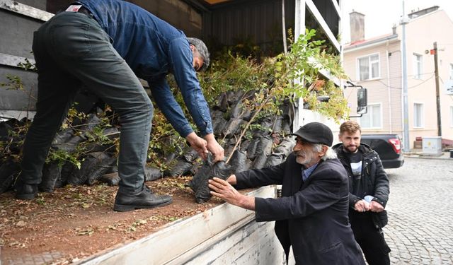 Konya Büyükşehir üreticiye 6 bin 370 sumak fidanı dağıttı