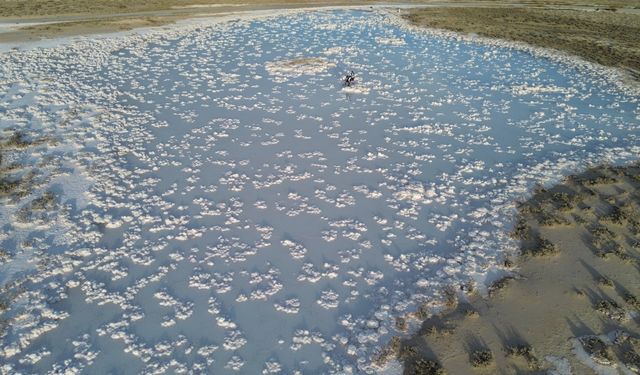 Kuraklık şaşırttı: Tuz Gölü'nde zararın içinden doğa harikası çıktı