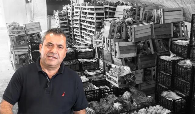 Serik Hali'nin geldiği durumu meclis üyesi açıkladı: “Serik Hali tarımın çöküş fotoğrafıdır”