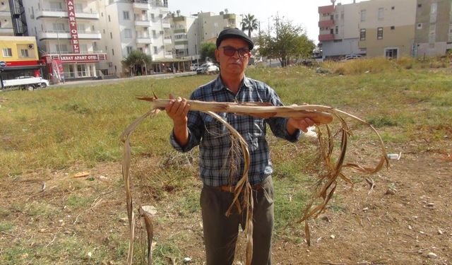 Su kaşifinden kaynak tespiti: Bulduğunda elektrik çarpmışa dönüyor