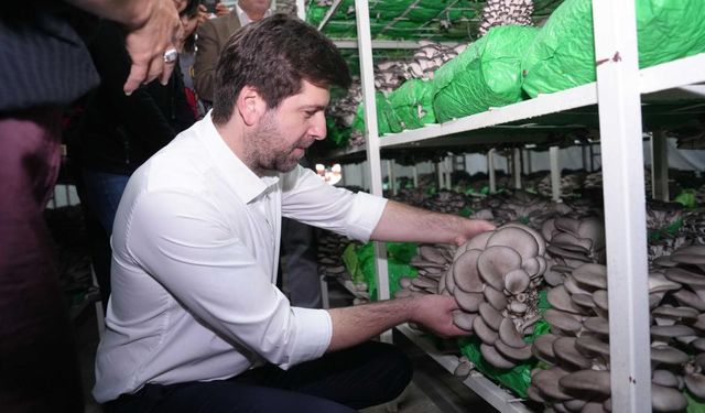 Tarsus’ta istiridye mantarı eğitimi: İlk hasatlarını yaptılar