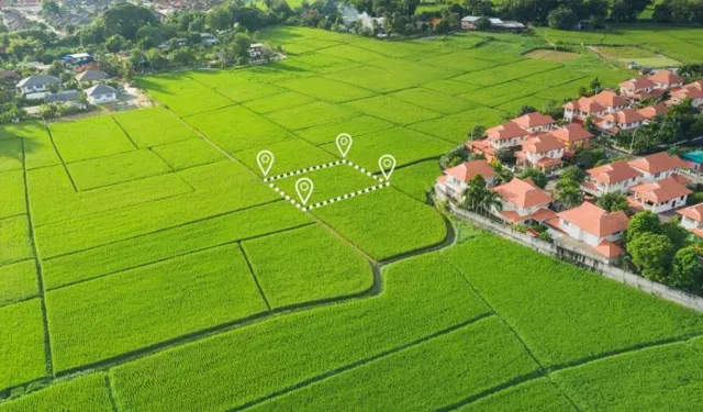 Aksu’da büyük fırsat: Zeytinlik ve tarla satışa çıkıyor