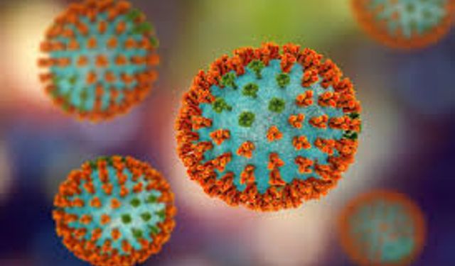 Avrupa ülkelerinde yeni virüs alarmı: H3N2 gribi Avrupa’yı sardı, Peki Türkiye’de durum ne?