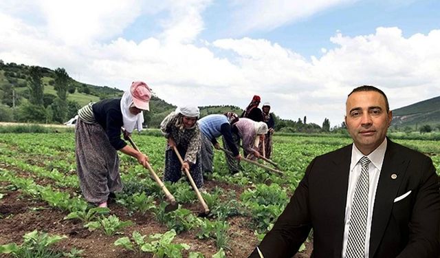 CHP’li Kaya’dan Tarım ve Orman Bakanlığı’na çağrı: “Çiftçilik bitme noktasında”