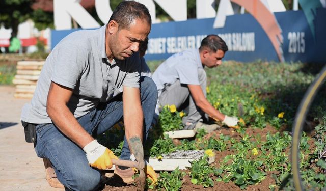 Konyaaltı’nda mevsimlik çiçek mesaisi