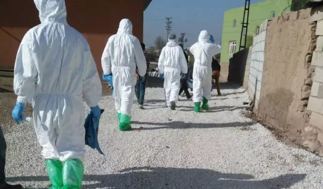 Şap hastalığı yayıldı, o mahalle karantinaya alındı!