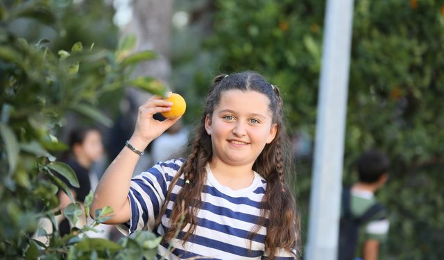 Dalından koparıldı, vatandaşlara ikram edildi!