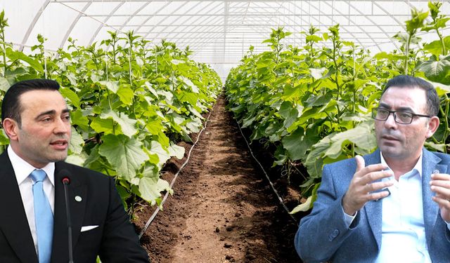 Üretici ne yapacak? Bir taraf teşvik etti, diğer taraf acı tabloyu gösterdi