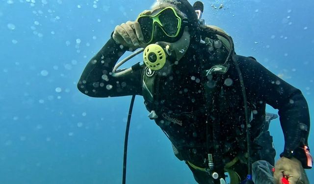 Akdeniz'de balıklar arasında mücadele başladı! Yerli balıklar baskılandı