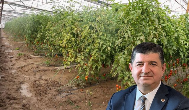 CHP’li Arı: Selden zarar gören çiftçilerin kredileri ertelenmeli