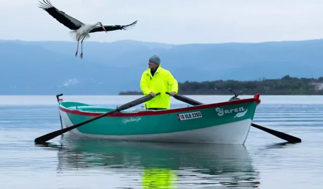 Bursa’nın simgesi Yaren Leylek yeniden geldi