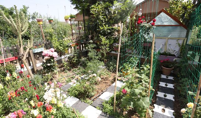 Antalya’da ‘yeşil’ yarışma başlıyor: Büyük ödül 20 bin TL