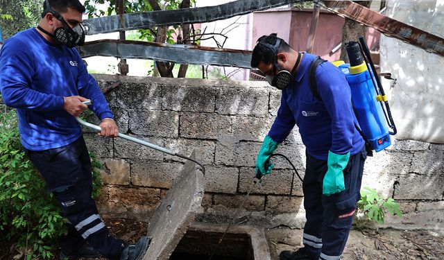 Antalya'da sivrisinek ve karasinek popülasyonuna karşı kapsamlı ilaçlama seferberliği