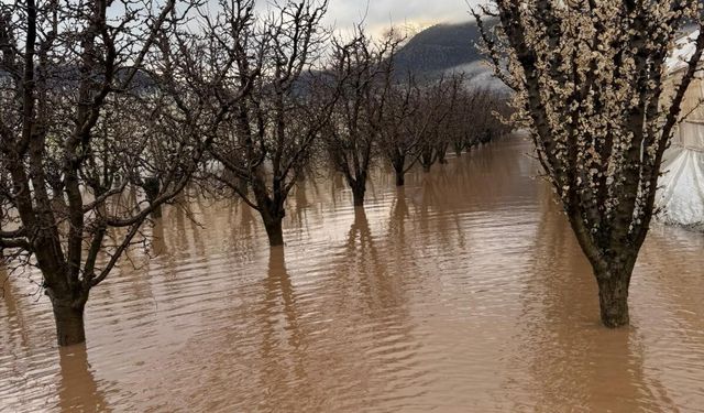 Yağış Elmalı'yı kötü etkiledi: Tarım arazilerini sel bastı!