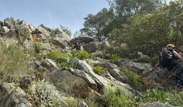 Çıktığı dağda yolunu kaybetti, yardımına ekipler yetişti!