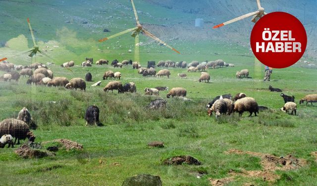 Dev proje için Korkuteli'nin en verimli otlağı seçildi: "Başka geçim kaynağımız yok”