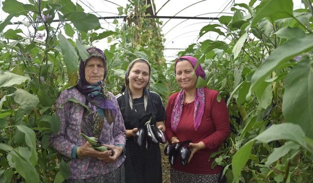 Kuşaktan kuşağa uzanan üretim geleneği: “Bu bizim hayatımız oldu”