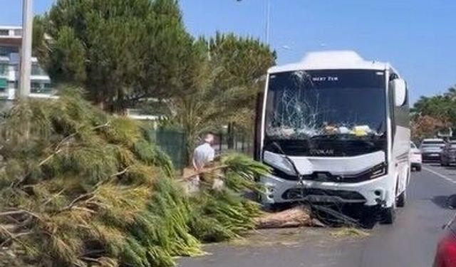 Alanya’da korkutan anlar: Alk*llü sürücü midibüsle refüje çıktı