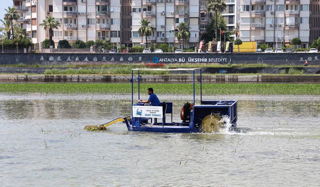 Antalya Büyükşehir’den Boğaçayı’nda ekosistemi koruyan bilimsel bakım çalışması