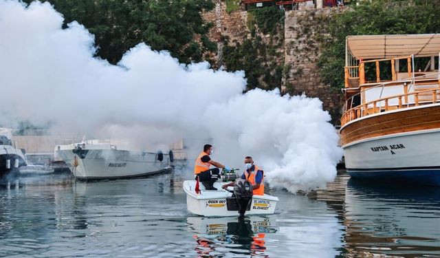 Antalya’da vektörel mücadelede kapsam genişletildi: Hem karada hem denizde müdahale
