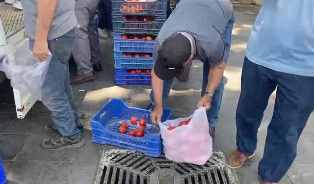 Antalya’da üretti, 5 liraya satılmadı: 4 ton domatesi bedava dağıttı