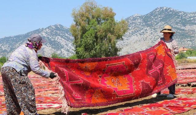 Antalya'daki halı tarlası turistleri ağlattı: Gören gözlerine inanamıyor