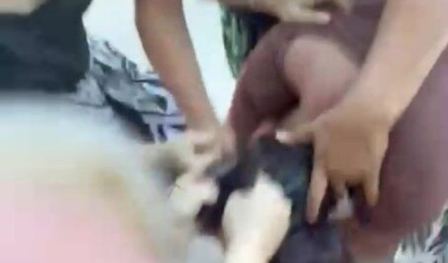 Ç*c*ğunun yanında d*rbettiler, kayda alıp sosyal medyada paylaştılar!