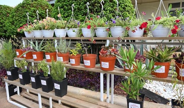 Kepez’den çevre dostu proje: Bahçe Market geliyor