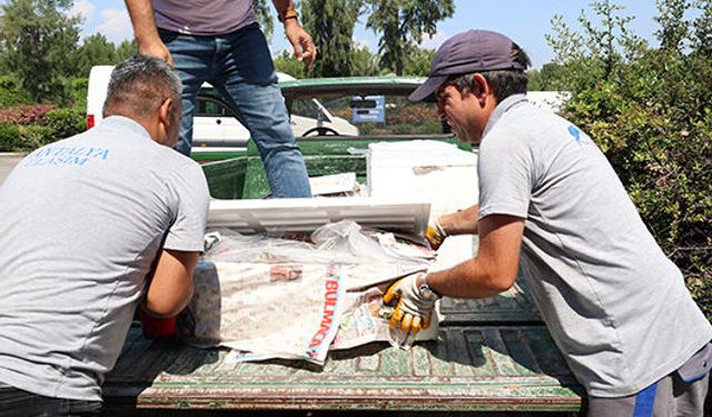 Antalya Otogarı'nda sıkı denetim: 260 kilo balığa el konuldu