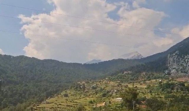 Serik’te ormana düşen yıldırım yangına yol açtı: 2 hektarlık alan zarar gördü