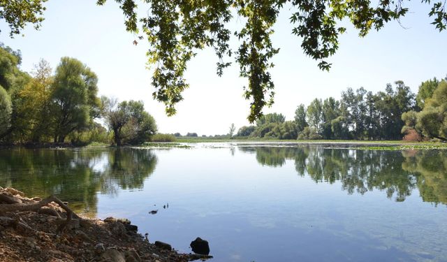 Antalya’da Kırkgöz su kaynakları için kritik adım! Kaçak yapılar kaldırıldı