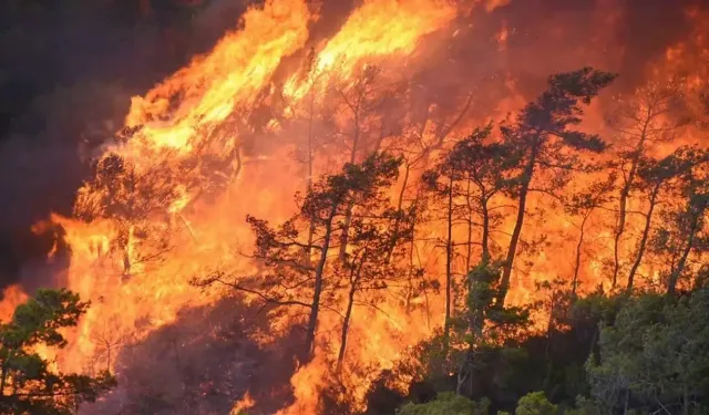 Antalya’da son iki günün yangın bilançosu! Çok sayıda yangın kontrol altına alındı