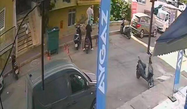 Kediye yönelik ş*ddet görüntüleri tepki topladı! Olay Alanya’da yaşandı