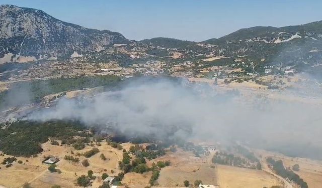 Antalya Kaş'ta orman yangını çıktı: Havadan ve karadan müdahale