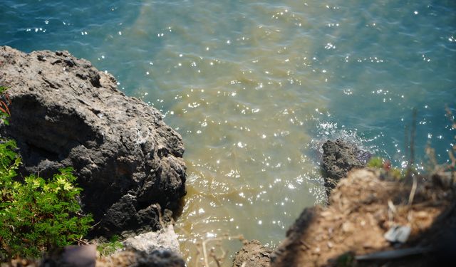 Antalya sahilinde kötü koku ve renk değişimi! Nedeni belli oldu