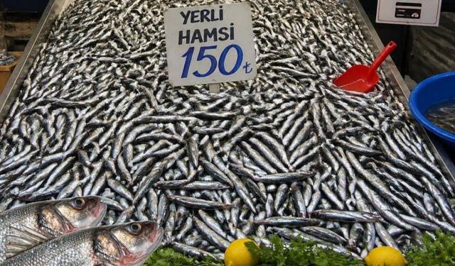 Karadeniz sezonu açtı, Antalya gün sayıyor, yasak ne zaman kalkıyor?