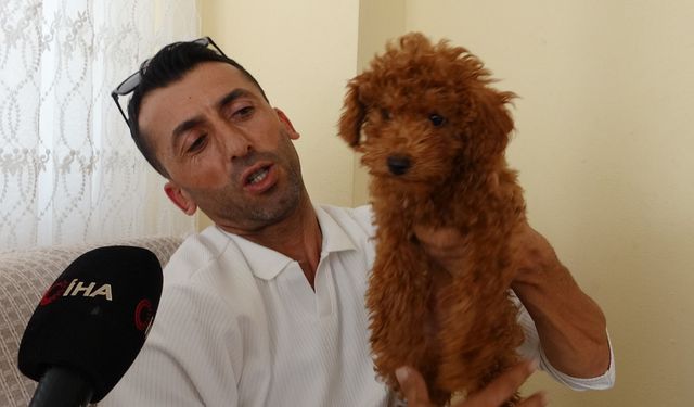 Antalya’da otobüste bırakılan köpek, şoförün yeni ailesi oldu