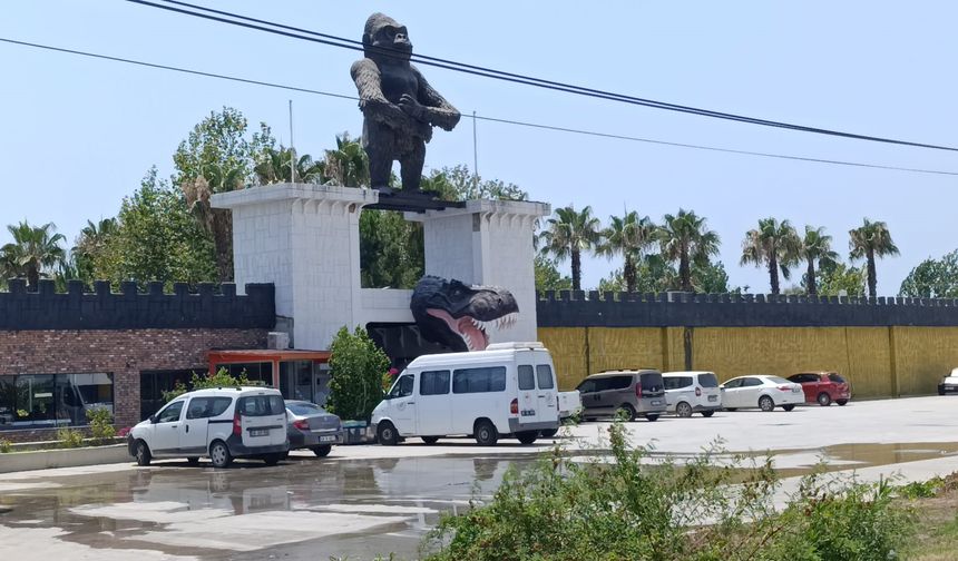 Aslanın kaçtığı hayvanat bahçesinde denetimler devam ediyor
