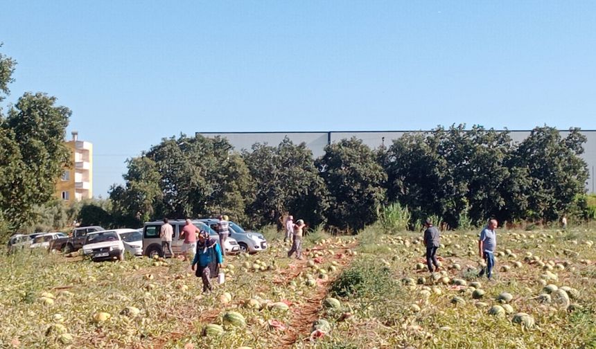 Serik'te hayırsever çiftçiden karpuz bağışı