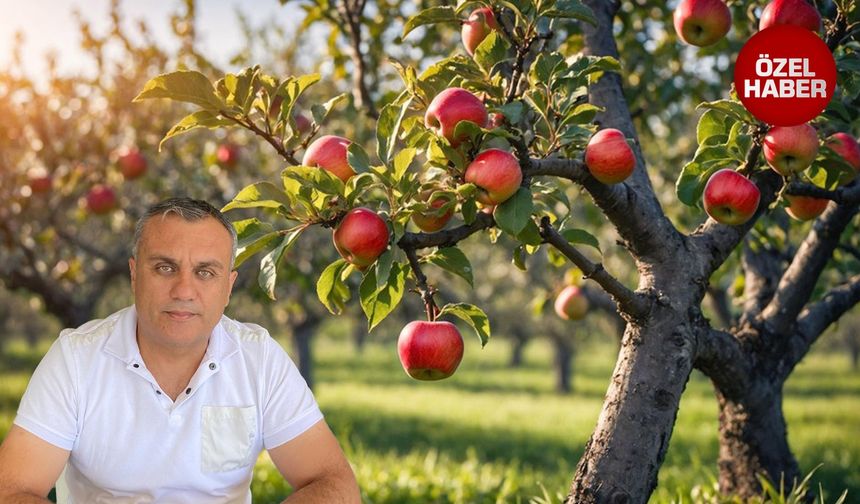 Elmalı ilçesi can çekişiyor: Böyle giderse ‘elmasız’ kalacak!