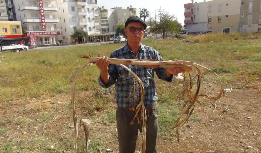 Su kaşifinden kaynak tespiti: Bulduğunda elektrik çarpmışa dönüyor